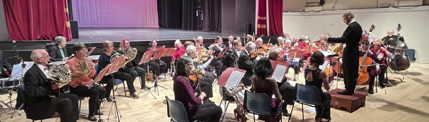 Want to play in an orchestra?